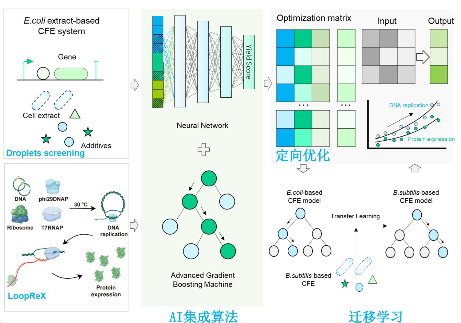 Toc Rational Design Rational Design of Biomacromolecules
